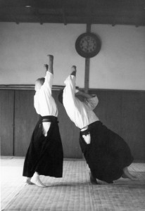 OSensei-jump-throw